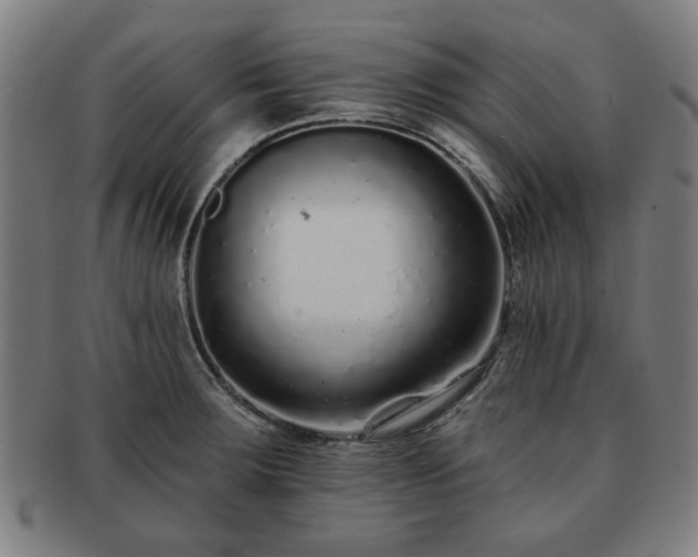 X0000091701283200708311045