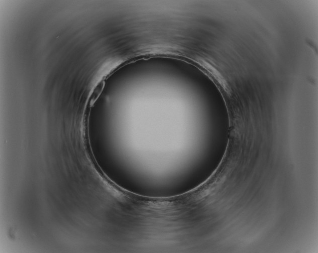X0000091701285200708311045