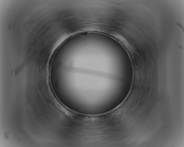 X0000091701286200708311045
