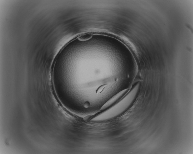 X0000091701287200708311045