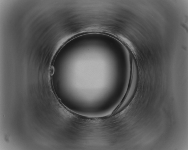 X0000091701288200708311045
