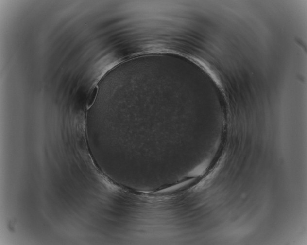 X0000091701289200708311045