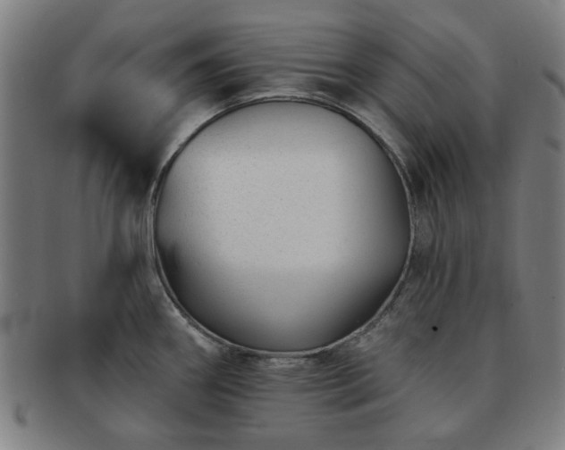 X0000091701290200708311045