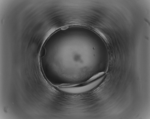 X0000091701291200708311045