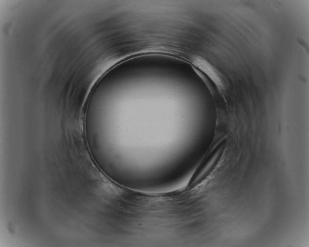 X0000091701292200708311045