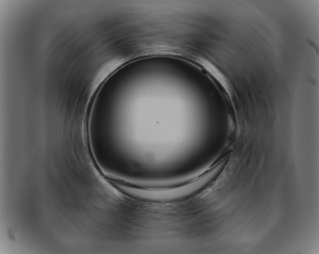 X0000091701293200708311045