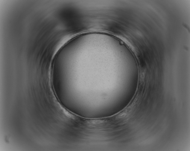 X0000091701294200708311045