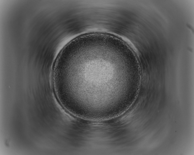 X0000091701295200708311045