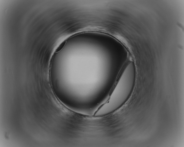X0000091701296200708311045