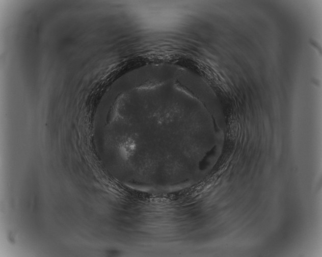 X0000091701297200708311044
