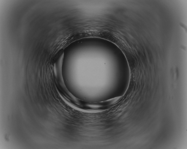 X0000091701298200708311044