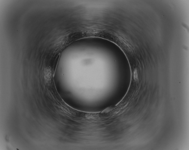 X0000091701299200708311044