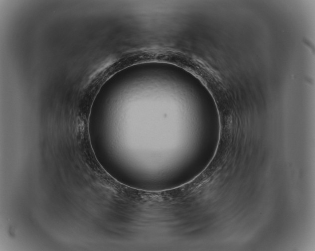 X0000091701302200708311044
