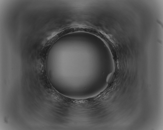 X0000091701303200708311044
