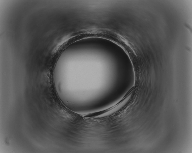 X0000091701304200708311044