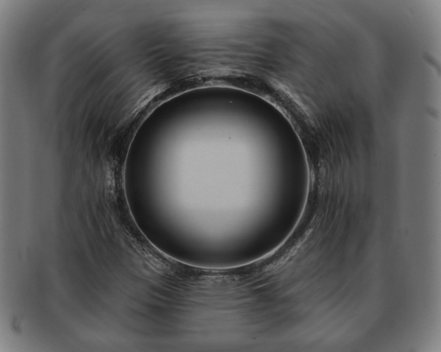 X0000091701305200708311044