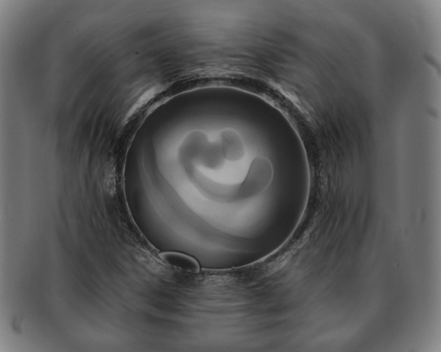X0000091701306200708311044