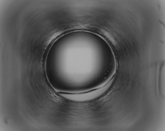 X0000091701308200708311044