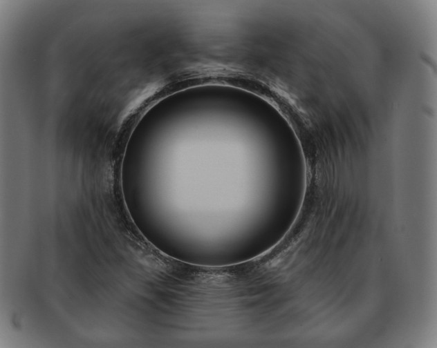 X0000091701309200708311044