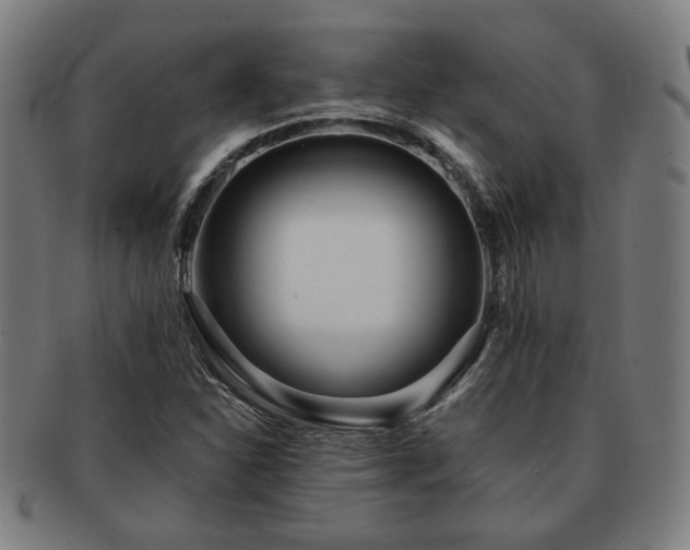 X0000091701310200708311044