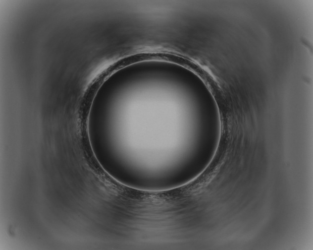 X0000091701311200708311044