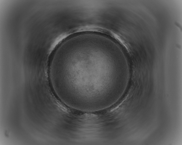 X0000091701312200708311044
