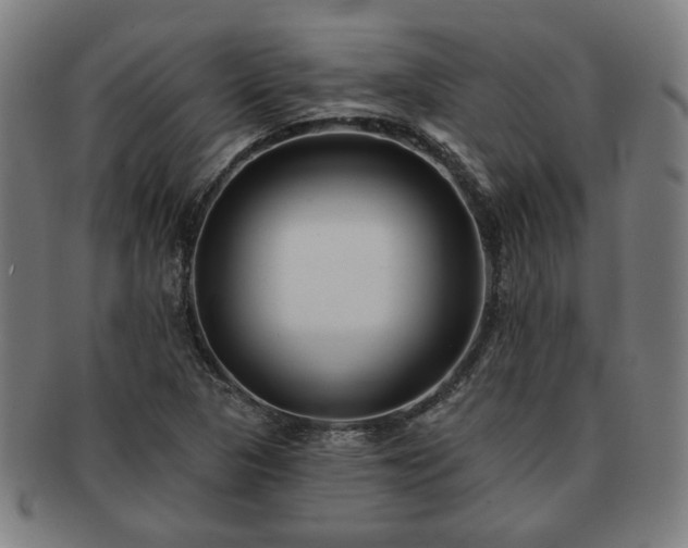 X0000091701313200708311044