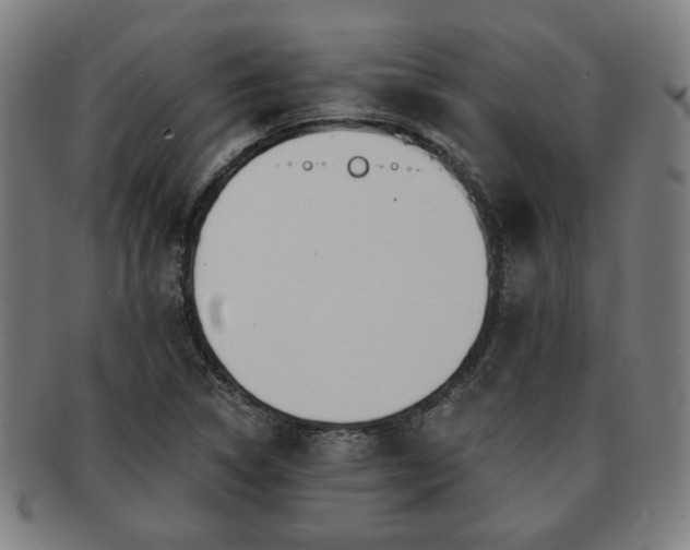 X0000091701314200708311044