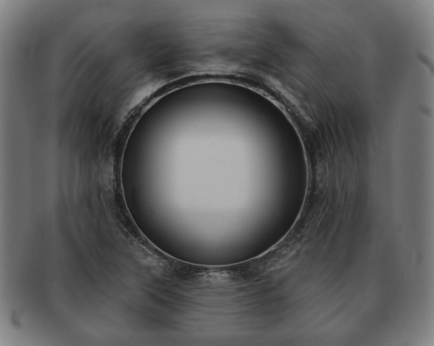 X0000091701315200708311044