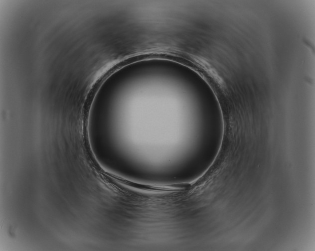 X0000091701316200708311044