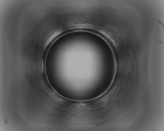 X0000091701317200708311044