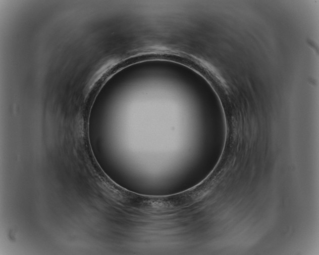 X0000091701318200708311044
