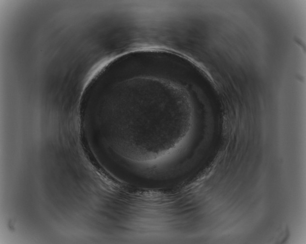 X0000091701319200708311044