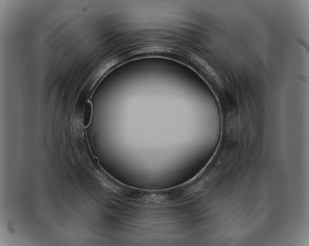 X0000091701321200708311044