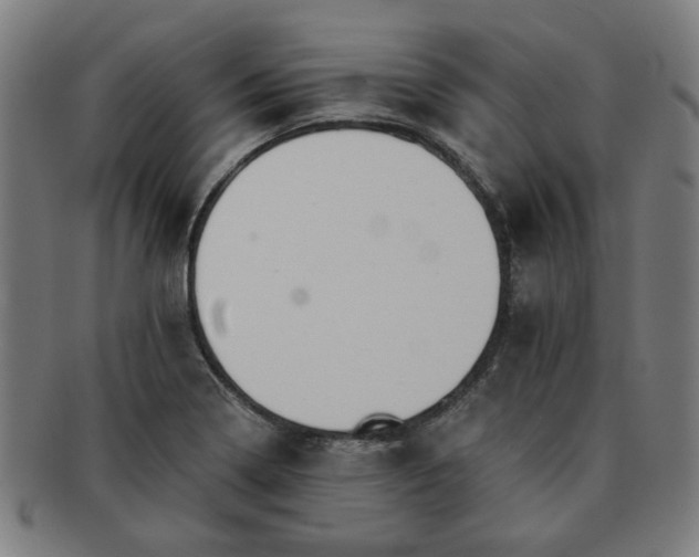 X0000091701322200708311044