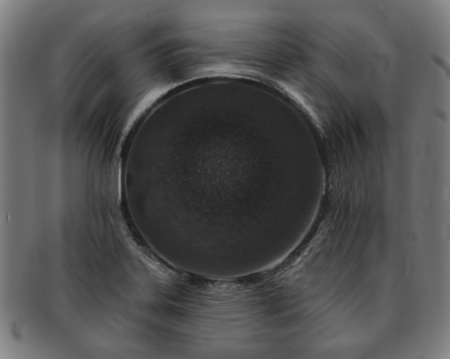 X0000091701323200708311044
