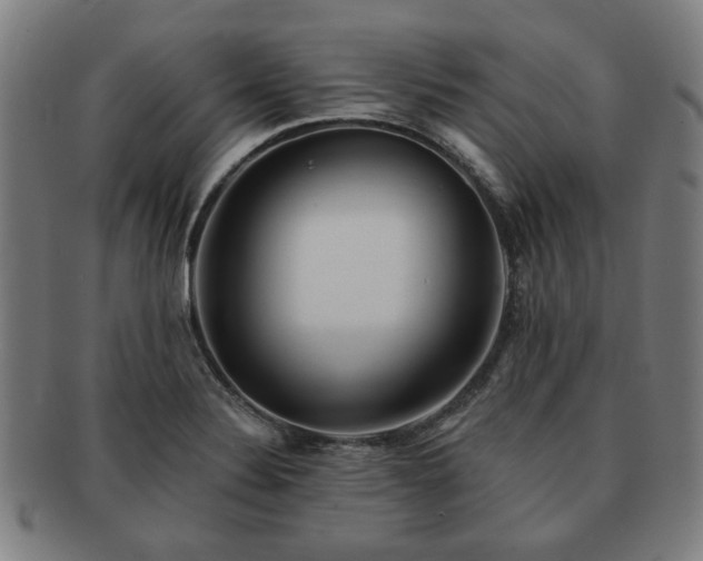 X0000091701324200708311044
