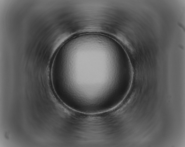 X0000091701325200708311044