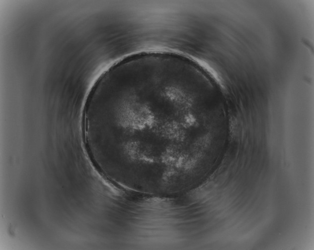 X0000091701327200708311044