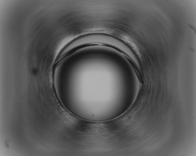 X0000091701328200708311044