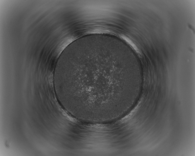 X0000091701329200708311044