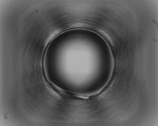 X0000091701330200708311044