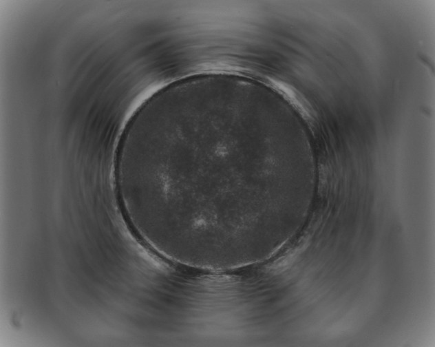 X0000091701331200708311044