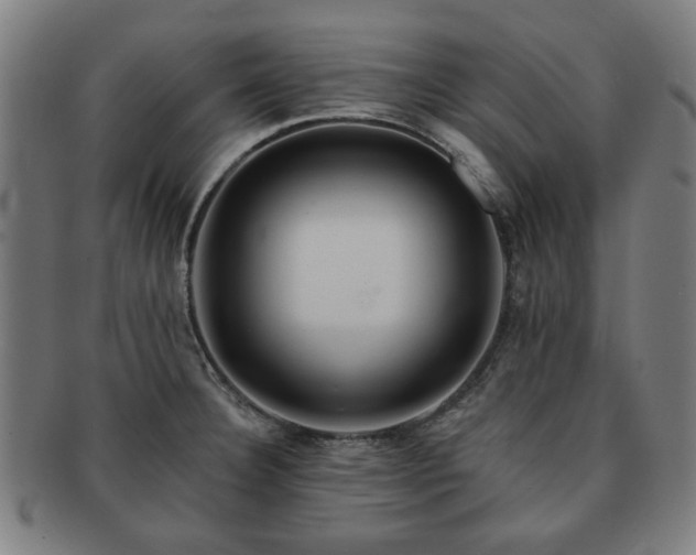 X0000091701332200708311044