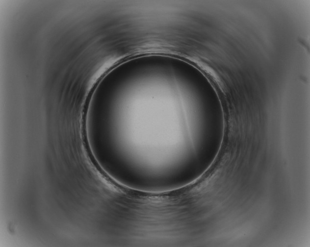 X0000091701333200708311044