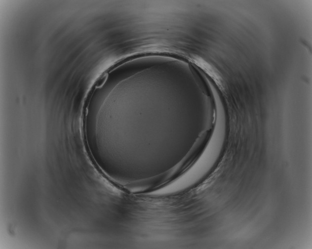 X0000091701334200708311044