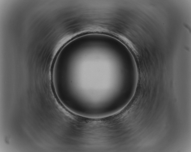 X0000091701335200708311044