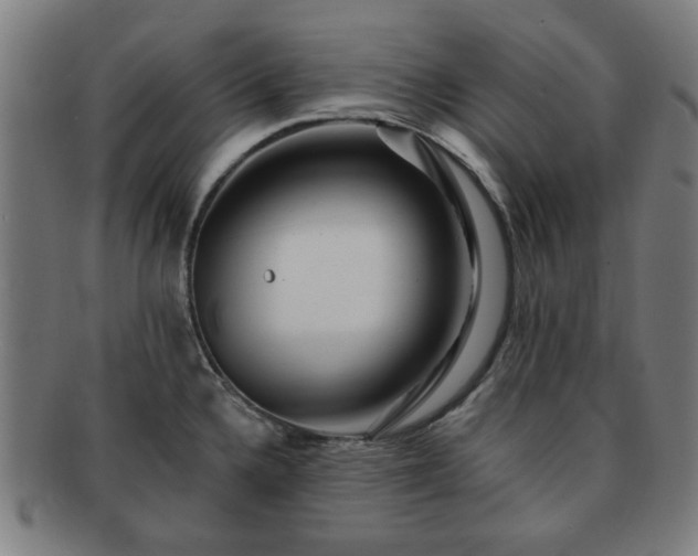 X0000091701336200708311044