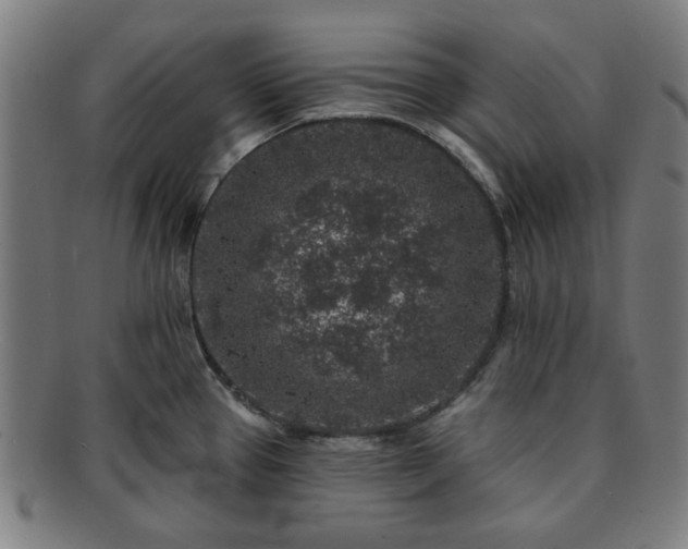X0000091701337200708311044