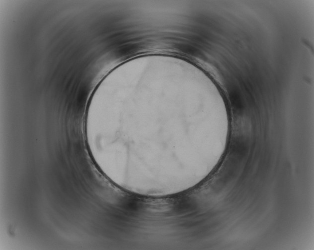 X0000091701338200708311044